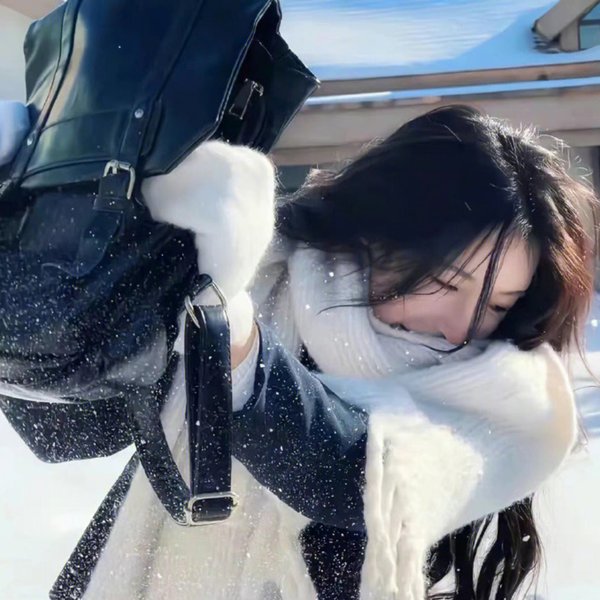 鹰之影