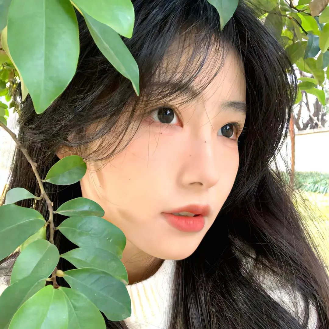 心灵的冒险